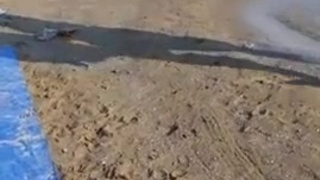 порно зрелых
порно зрелка
порно с зрелой
порно с зрелыми женщинами
голые женщины зрелые
зрелые голые женщины
эротика зрелых
порно с взрослыми женщинами
тети порно
порно зрелые женщины
секс со зрелой женщиной
порно с женщинами за 40
порно зрелая женщина
порно бабы
порно с бабой
порно за 55
секс зрелые
смотреть порно зрелые
ебалка зрелых
взрослые порно
зрелые голые
порно с зрелой женщиной
порно зрелые жены
тетки порно
взрослое порно
видео порно зрелые
порно с взрослыми
секс взрослых
секс со взрослой
порно с женщиной за 50
секс женщина
секс бабы
зрелые порно видео
секс с женщиной в возрасте
порно видео женщины
секс зрелый
порно со зрелой
баба порно
порно со зрелой женщиной
секс с зрелой женщиной
порно за 40
секс взрослые
зрелые женщины в порно
секс с зрелыми женщинами
порно с женщинами в возрасте
трахают зрелую
сочные женщины порно
секс с взрослой
эротика зрелая
секс женщинами
порно взрослое
тетки в порно
порно с взрослой
секс с взрослыми
порно с тетками за 50
секс с зрелой
секс женщин
секс с взрослыми женщинами
секс по взрослому
женщины секс
женщины в теле порно
зрелые в порно
секс с женщинами
порно с женщиной
тетки секс
дамы секс
женщины в возрасте порно
секс дама
порно видео зрелые женщины
женщины порно
секс с зрелками
порно ролики зрелых
порно бесплатно зрелые
секс теток
порно тетка
бабы в порно
русское порно зрелки
секс взрослый
тетка порно
дамы порно
порно hd зрелые
секс тетка
секс за 55
порно теток
голая зрелая
секс со зрелыми
зрелая секс
порно с теткой
секс с женщинами в возрасте
русская зрелая порно
голая женщина видео
порно зрелые бесплатно
секс с дамами
порно женщины в возрасте
смотреть порно зрелые женщины
взрослый секс
порно женщина
красивые зрелые женщины порно
секс женщиной
трах с бабой
зрелые голые бабы
секс тетки
порно с русскими зрелыми женщинами
порно теть
порно взрослых
зрелые секс
порно с дамами
зрелые дамы в порно
эротика зрелые женщины
порно баба
порно взрослые женщины
порно взрослая женщина
порно взрослая
порно зрелых русских баб
ню зрелые
порно со зрелыми русскими
порно видео бесплатно зрелые женщины
порно тетушки
порно с бабами
45 порно
порно тети
секс с бабой
порно взрослые
секс с взрослой женщиной
зрелую ебут
зрелые дамы порно
порно с женщинами
трахнуть бабу
порно видео красивые зрелые женщины
порно со взрослой
русские зрелки порно
порно видео зрелых
порно зрелой женщины
голая зрелка
секс с русской зрелой
в возрасте порно
порно видео с тетей
порно 40 летних
порно видео зрелые женщины бесплатно
порно возрасте
секс с зрелыми
секс с бабами
порно женщины
порно зрелая тетя
ебут теток
секс дамы
зрелые дойки
порно с зрелками
дамы в порно
порно зрелые hd
порно русское зрелые женщины
порно с женщинами за 50
порно зрелки русские
женщины за 40 порно
женщина секс
секс зрелых русских женщин
порно с дамой
голые женщины 45
порно со зрелыми русское
тетки голые
бабы порно
секс баба
порно со зрелой русской
порно с русскими зрелками
голая зрелая женщина
порно видео зрелые русские женщины
выебал зрелую
ххх зрелые
женщины в порно
порно зрелыми женщинами
порно зрелые шлюхи
тёти голые
ебут зрелую
русское порно за 50
порно 40 летние
русское порно со зрелой
порно за 45
реальное порно зрелых
секс женщины
взрослый секс бесплатно
порнуха зрелых
дамы ххх
тетя порно
порно видео русское зрелые
секс с тетками
секс с женщинами за 50
порно видео зрелая
порно женщины в теле
трах зрелки
порно зрелыми
